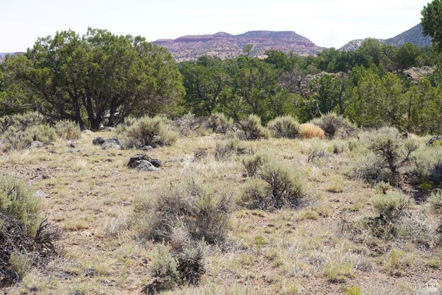 1205 S Donkey Flats Rd, Teasdale, UT 84773 - photo 18