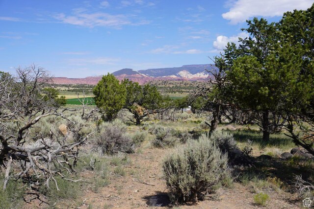 1205 S Donkey Flats Rd, Teasdale, UT 84773 - photo 16