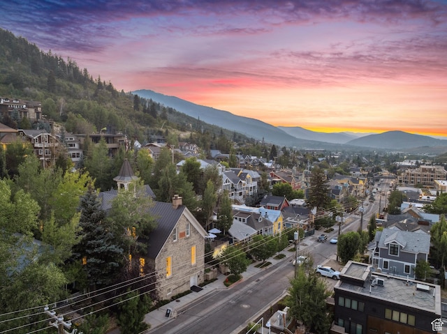 543 Park Ave, Park City, UT 84060 - photo 40