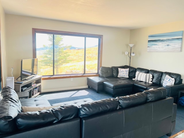 588 W Raspberry Patch Rd, Garden City, UT 84028 - living area with carpet and baseboards