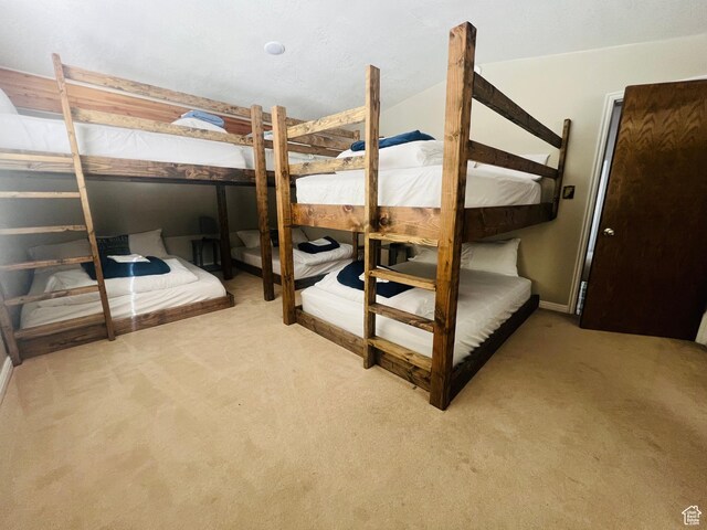 588 W Raspberry Patch Rd, Garden City, UT 84028 - view of carpeted bedroom