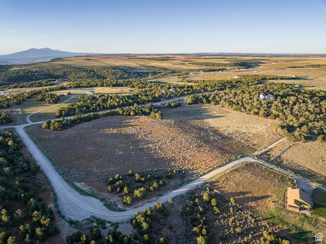 aerial view with a mountain view and a rural view