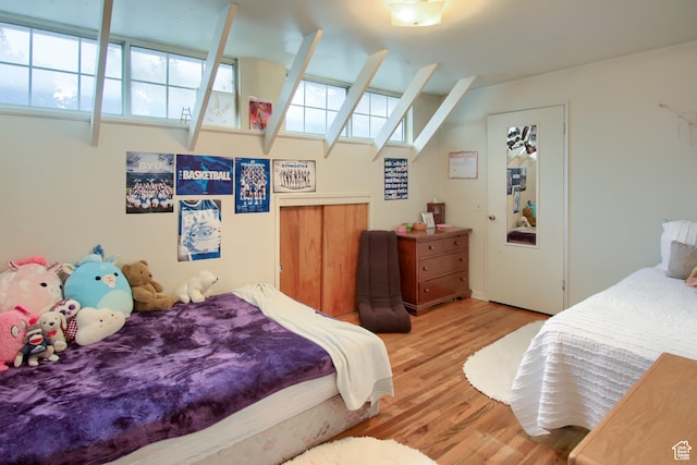 bedroom featuring multiple windows and light hardwood / wood-style floors