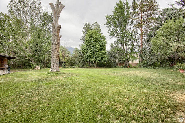 view of yard