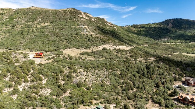 2008 High Cedar Highlands Dr, Cedar City, UT 84720 - photo 69