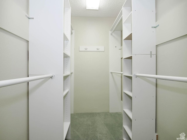 spacious closet with carpet flooring