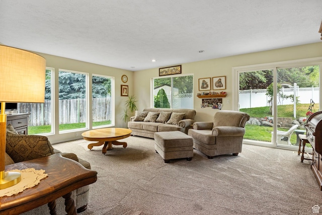 546 E River Meadow Dr S, Alpine, UT 84004 - carpeted living area with recessed lighting and a textured ceiling
