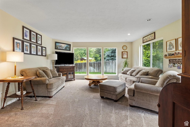 546 E River Meadow Dr S, Alpine, UT 84004 - living room featuring recessed lighting and carpet