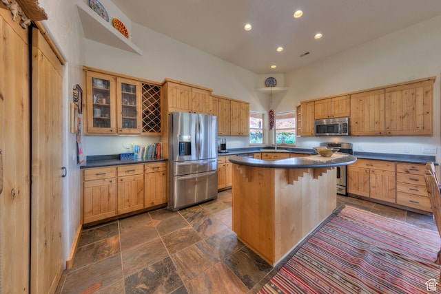 431 E Coronado Ln, Moab, UT 84532 - kitchen featuring a kitchen island, dark countertops, recessed lighting, stainless steel appliances, and glass insert cabinets