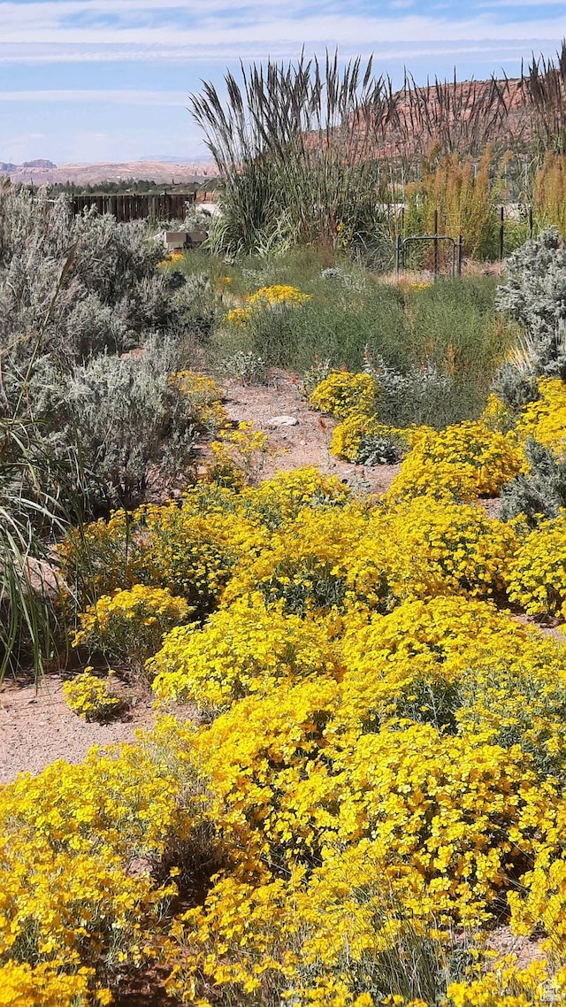 431 E Coronado Ln, Moab, UT 84532 - view of nature
