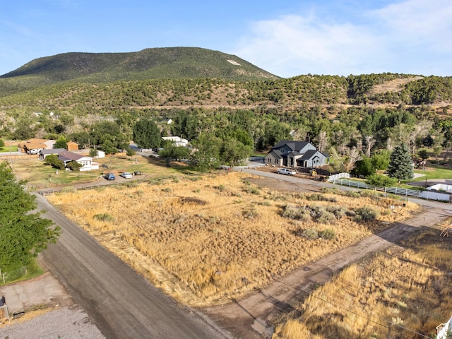 2100 E Cotton Tree Ln Unit 10, Beaver, UT 84713