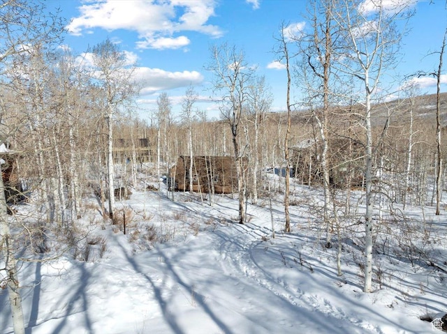 11523 E Cliffrose Dr E Unit 1692, Heber City, UT 84032 - view of snow covered land