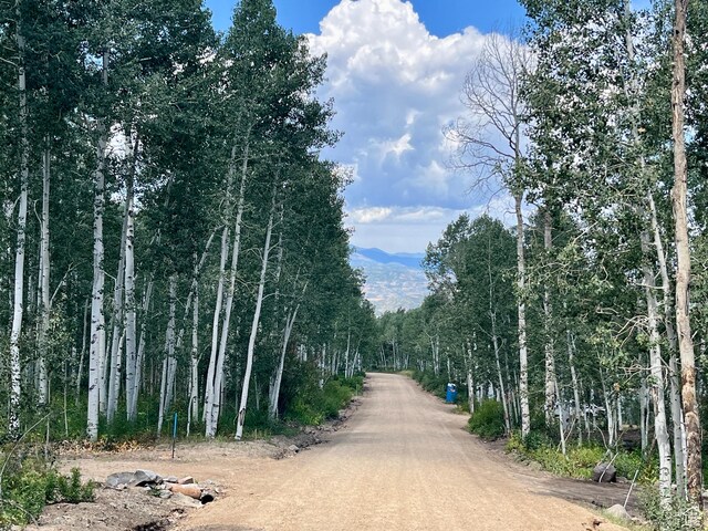 11523 E Cliffrose Dr E Unit 1692, Heber City, UT 84032 - view of property's community