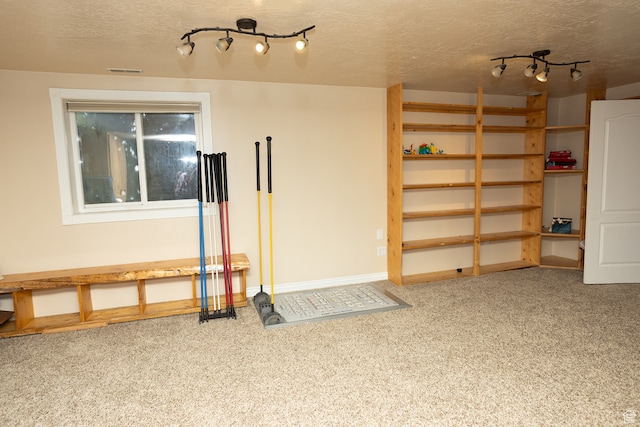 310 S 100 W, Centerfield, UT 84622 - interior space with carpet floors, track lighting, and a textured ceiling