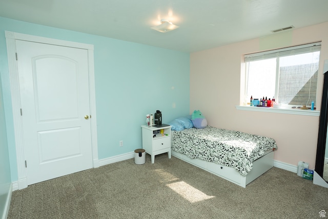 310 S 100 W, Centerfield, UT 84622 - view of carpeted bedroom