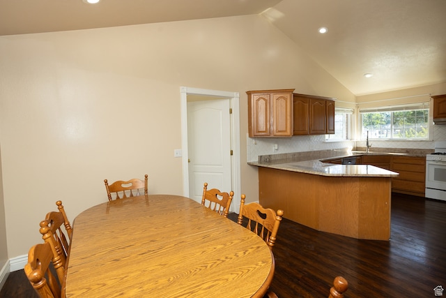 310 S 100 W, Centerfield, UT 84622 - unfurnished dining area with hardwood / wood-style flooring, sink, and high vaulted ceiling