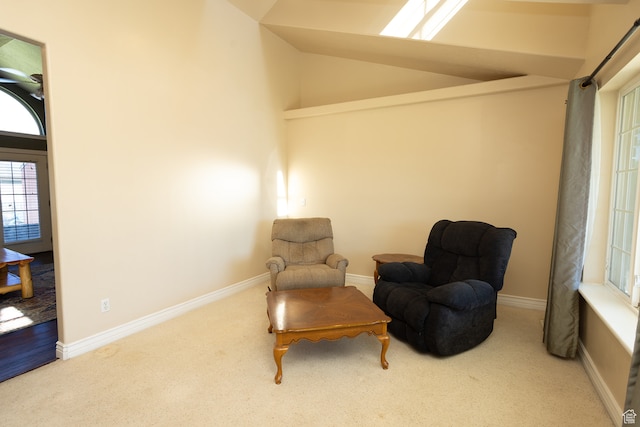 310 S 100 W, Centerfield, UT 84622 - living area with high vaulted ceiling and carpet floors