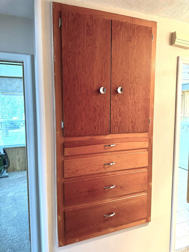 186 S 100 E St E, Laketown, UT 84038 - room details with carpet floors, washer / clothes dryer, and a textured ceiling