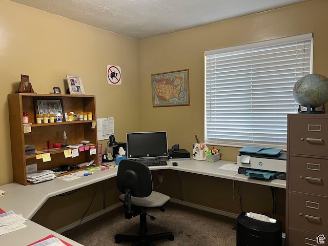 3383 W 6880 S, West Jordan, UT 84084 - office with carpet floors, a textured ceiling, and baseboards