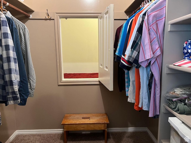 3383 W 6880 S, West Jordan, UT 84084 - walk in closet with carpet flooring