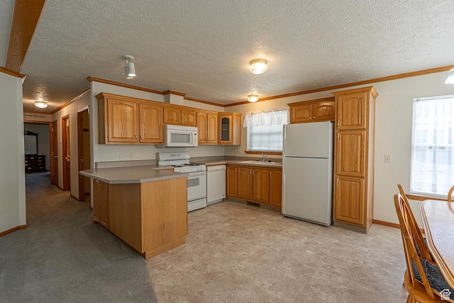 80 E 300 N Unit 3, Preston, ID 83263 - kitchen featuring crown molding, a peninsula, white appliances, and a sink