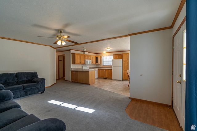 80 E 300 N Unit 3, Preston, ID 83263 - living room with a textured ceiling, baseboards, ceiling fan, crown molding, and light colored carpet