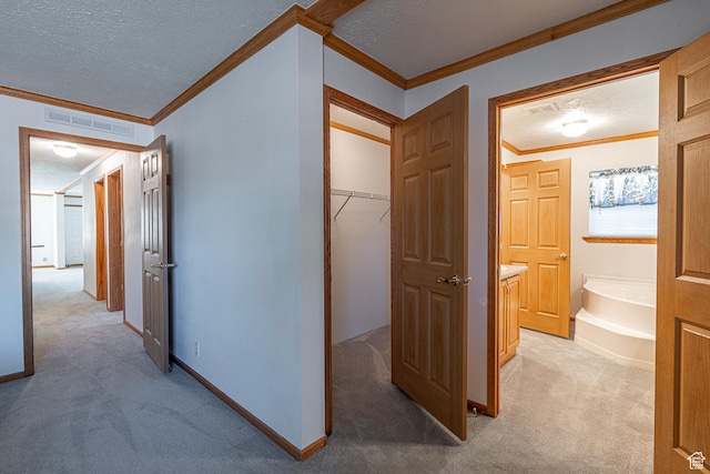 80 E 300 N Unit 3, Preston, ID 83263 - hall with light colored carpet, ornamental molding, visible vents, and a textured ceiling