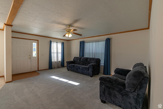 80 E 300 N Unit 3, Preston, ID 83263 - living area with crown molding, a textured ceiling, carpet flooring, and a ceiling fan