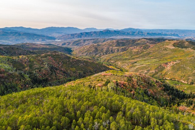 1101 Big Pinyon Ct Unit 57, Coalville, UT 84017
