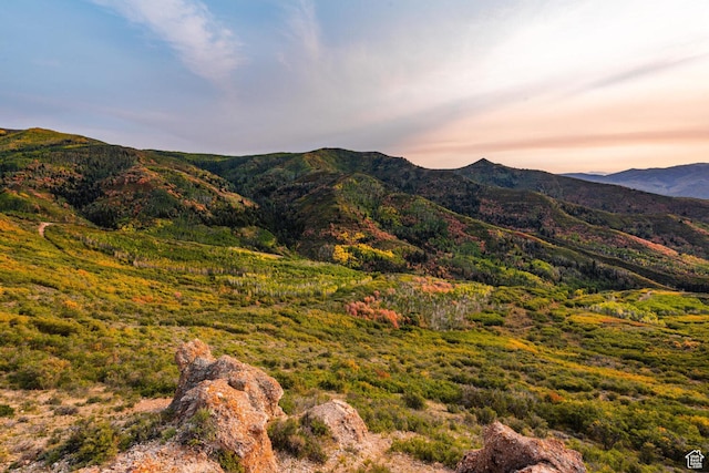 1101 Big Pinyon Ct Unit 57, Coalville, UT 84017