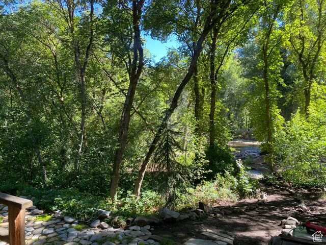 3949 S Hobble Creek Ln, Springville, UT 84663 - view of nature featuring a wooded view