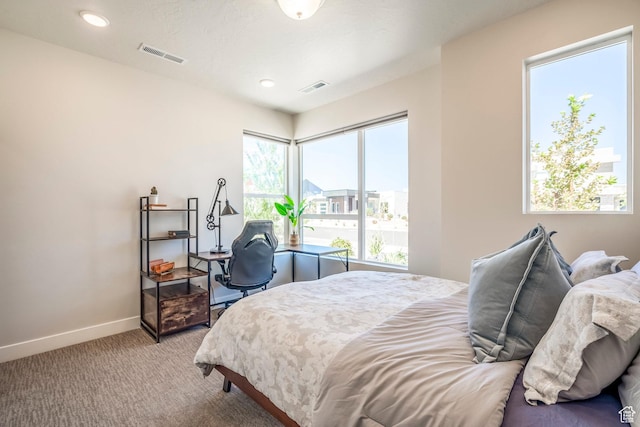 581 W Cypress Umber Dr Unit 34, St George, UT 84790 - bedroom featuring carpet, baseboards, and recessed lighting