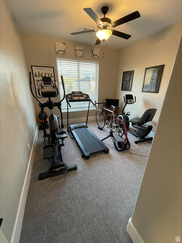 2226 S 2925 W, Cedar City, UT 84720 - exercise area with ceiling fan, carpet, and baseboards
