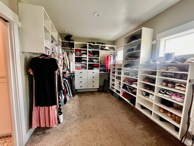 1579 N 2200 E, Preston, ID 83263 - walk in closet with carpet flooring