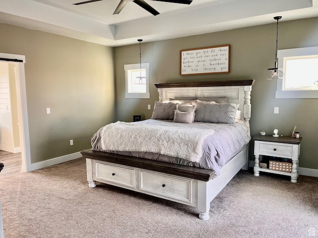 1579 N 2200 E, Preston, ID 83263 - carpeted bedroom featuring baseboards, a raised ceiling, a barn door, and a ceiling fan