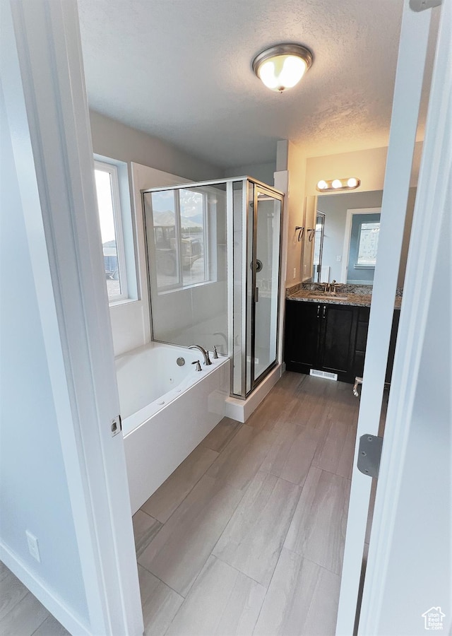 bathroom featuring vanity, a garden tub, plenty of natural light, and a stall shower
