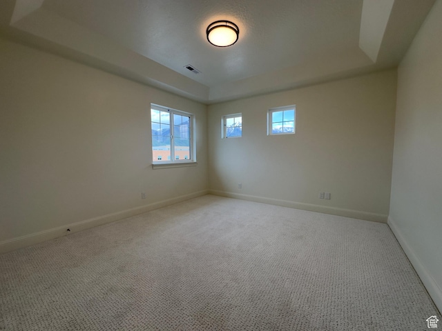 16 W 650 N Unit 1, Salem, UT 84653 - spare room featuring carpet, baseboards, and a raised ceiling
