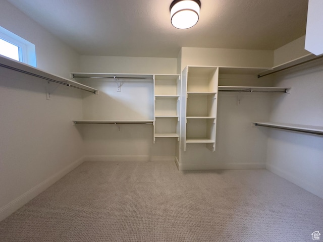 16 W 650 N Unit 1, Salem, UT 84653 - walk in closet with carpet flooring