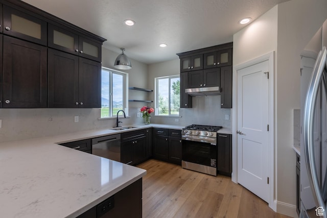 52 W 650 N Unit 3, Salem, UT 84653 - kitchen with appliances with stainless steel finishes, a sink, under cabinet range hood, light wood-type flooring, and decorative backsplash