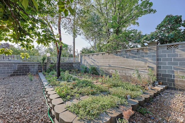 view of yard with a garden and a fenced backyard