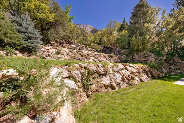 3880 E Thousand Oaks Cir, Salt Lake City, UT 84124 - view of yard with a view of trees