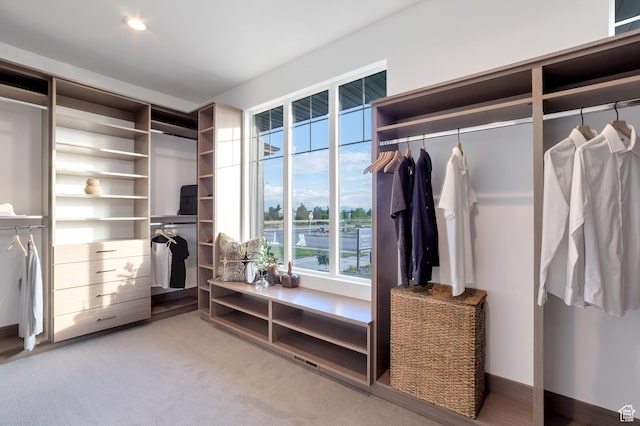 165 S Farmhouse Cir, Kaysville, UT 84037 - spacious closet featuring carpet floors