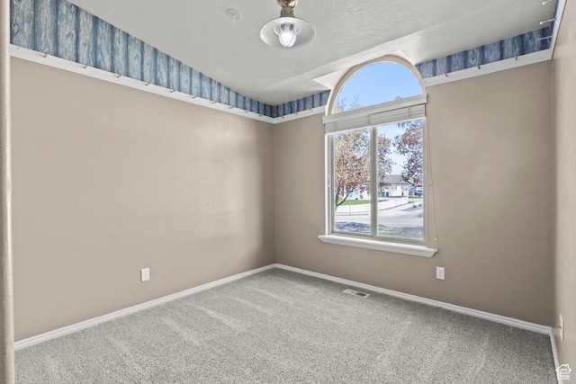 880 E 300 S, Smithfield, UT 84335 - carpeted spare room featuring baseboards, plenty of natural light, and visible vents