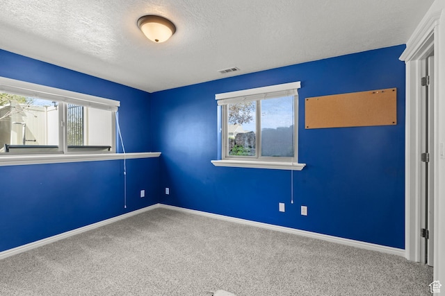 880 E 300 S, Smithfield, UT 84335 - carpeted spare room featuring a textured ceiling, visible vents, and baseboards