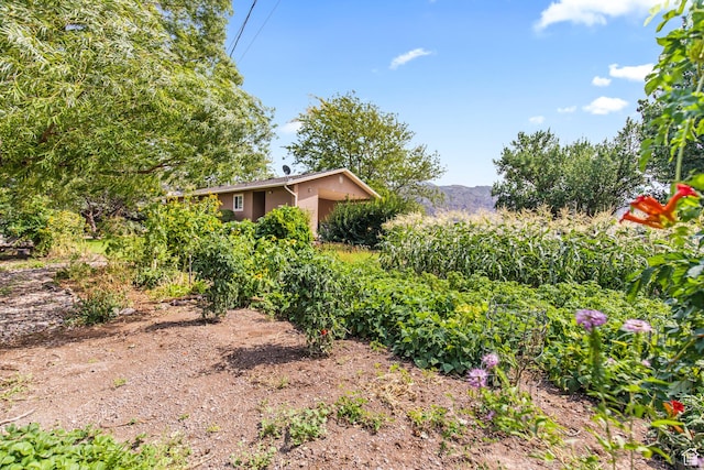 view of yard featuring a mountain view
