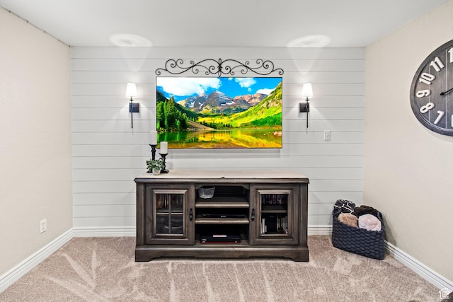 interior details featuring carpet flooring, baseboards, and wood walls