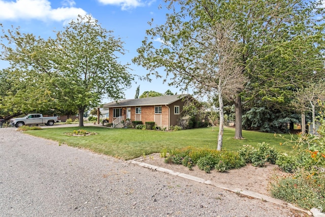 ranch-style home featuring brick siding and a front yard