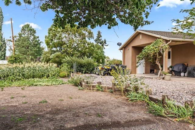 view of yard featuring a patio