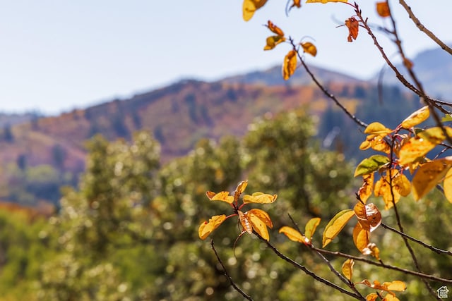 8791 Northcove Dr Unit 102, Park City, UT 84098