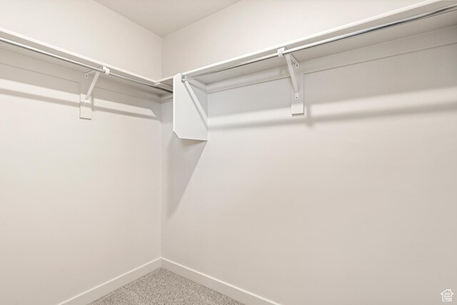 1264 N Berra Blvd Unit 133, Tooele, UT 84074 - walk in closet with carpet